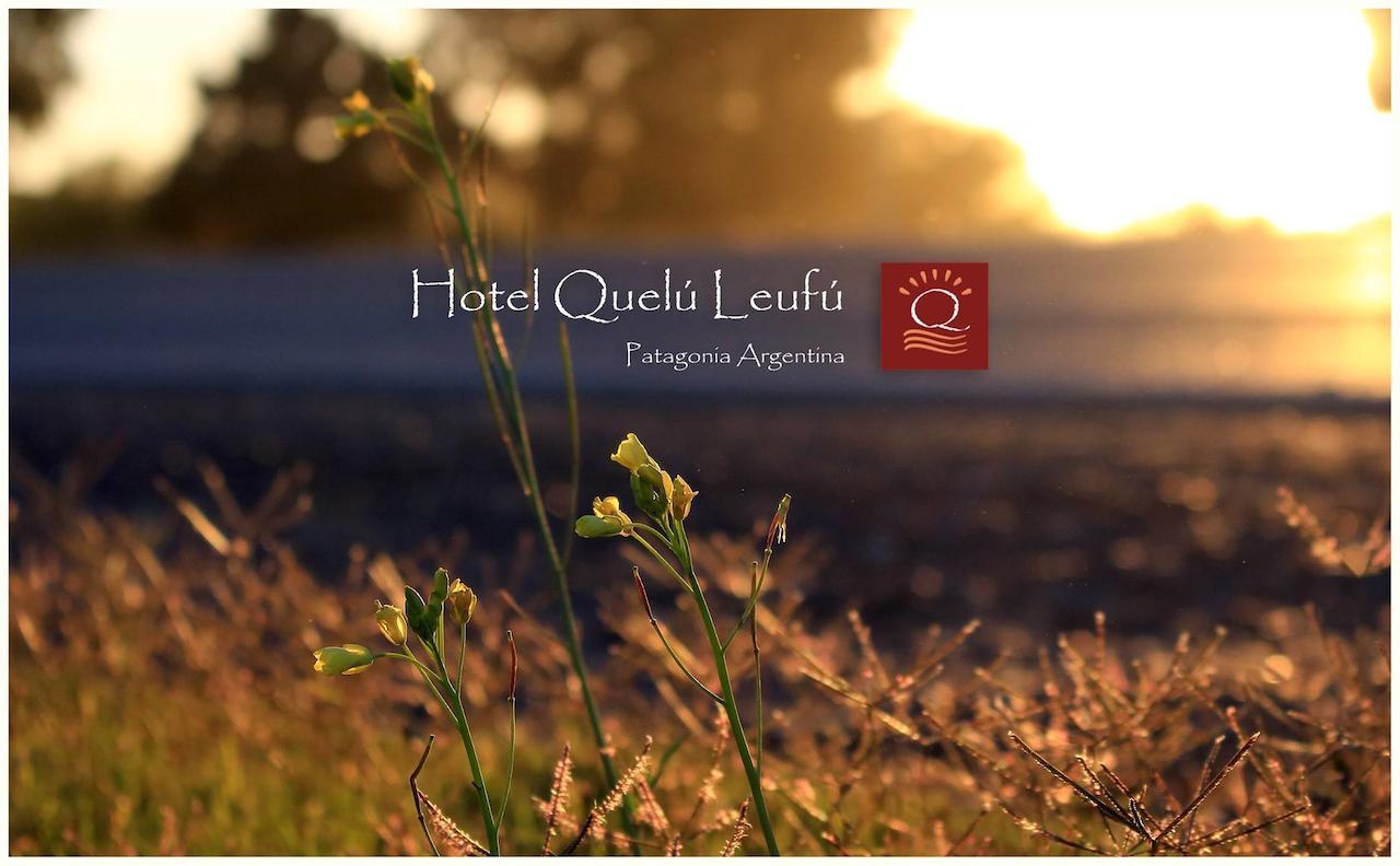Hotel Quelu Leufu リオ・コロラド エクステリア 写真
